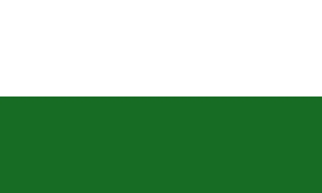 Flagge: Sachsen