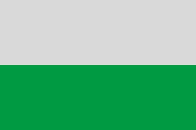 Flag of Fuente Álamo de Murcia